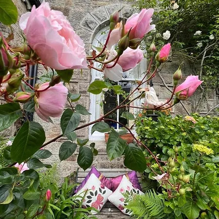 Estoril Bed and breakfast 4*