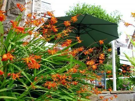 Estoril Bed and breakfast 4*